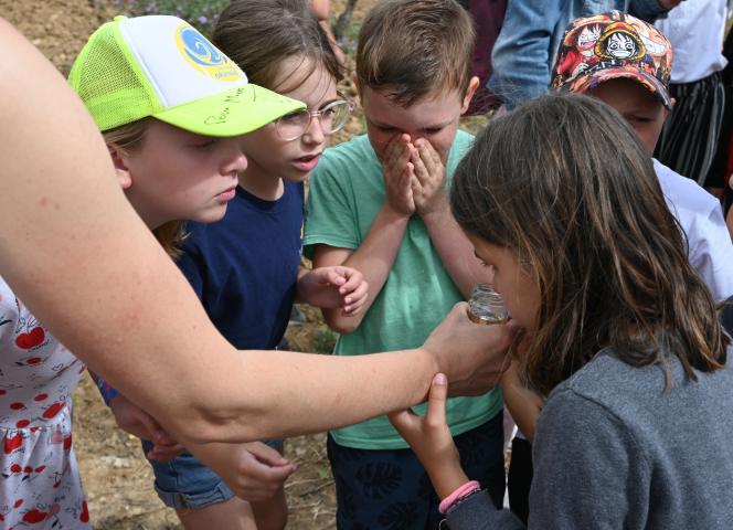 Enquête ludique à travers Gruissan