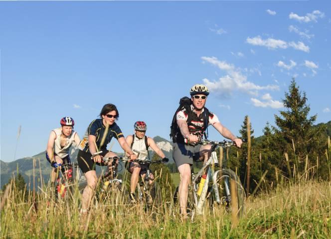 VTT