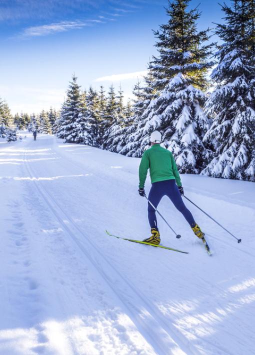 Hiver - ski nordique