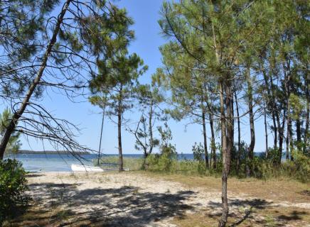 Lac de Carcans-Maubuisson