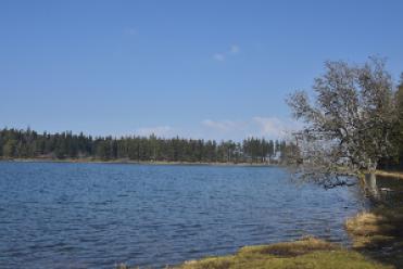 Lac de Servière - Auvergne