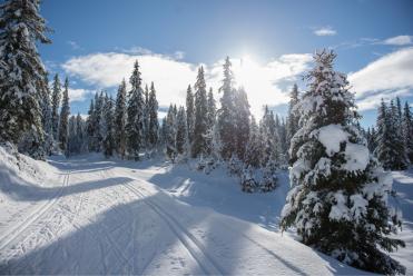 Bois d'Amont enneigé