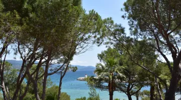 Bormes les mimosas 