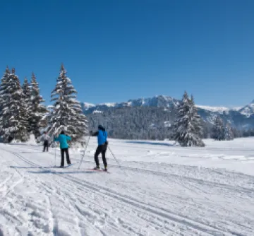 Ski nordique