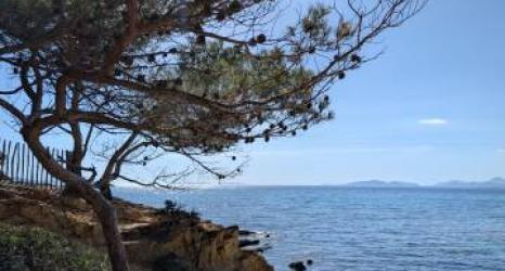 Plage de Cabasson