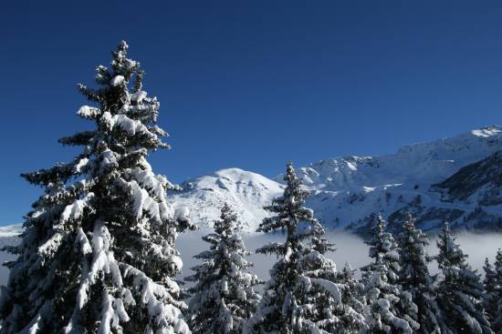 Application partir en vacances en montagne cet hiver