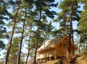 des cabanes de charme au Lac Chambon, en Auvergne