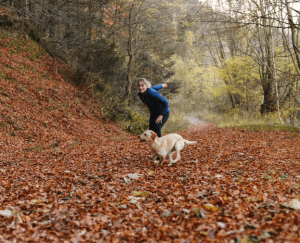 Retrouvez la complicité avec votre chien en randonnant en extérieur
