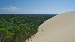 la dune du pilat