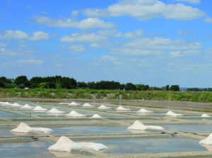 Marais salants - Mesquer-pays de Guérande