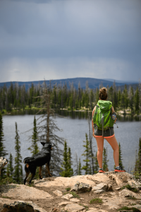 randonner avec son chien est une activité nature idéale