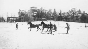 Le SkiJoëring, activité hiver avec des chevaux ou des chiens