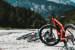 vtt assistance électrique vttae